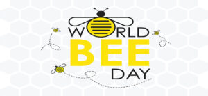 World Bee Day Article Banner