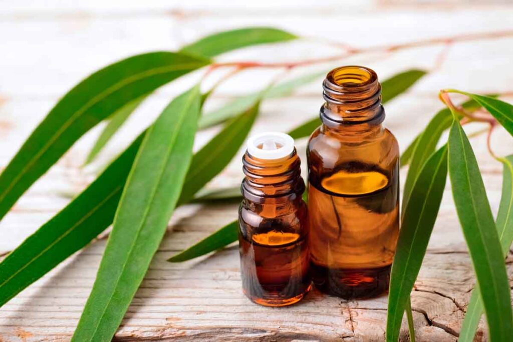 Eucalyptus oil_for sensitive skin_eczema_psoriasis