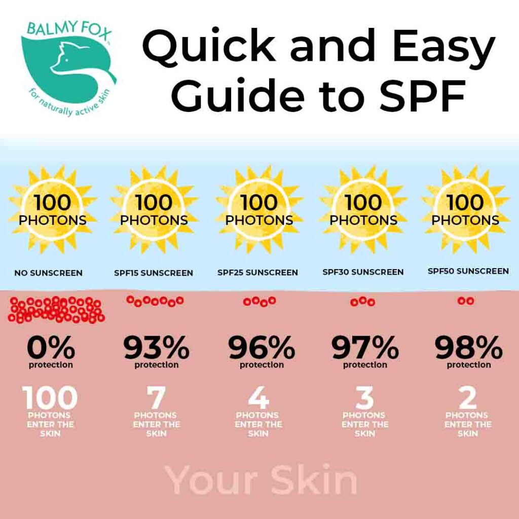 Balmy Fox_ Sun Protection_ SPF Guide