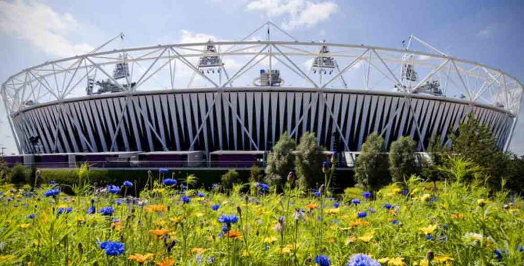 London-Olympic-Park_wildflower-meadow_sustainable-sport