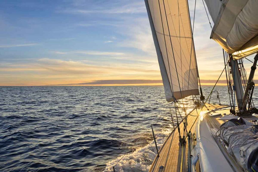 Cowes Week _ Balmy Fox _ Sailors Sunblock_Sailing Sunblock