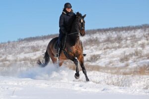 Beat-the-chill_horse-riders-winter-skincare_skincare-for-horse-riders