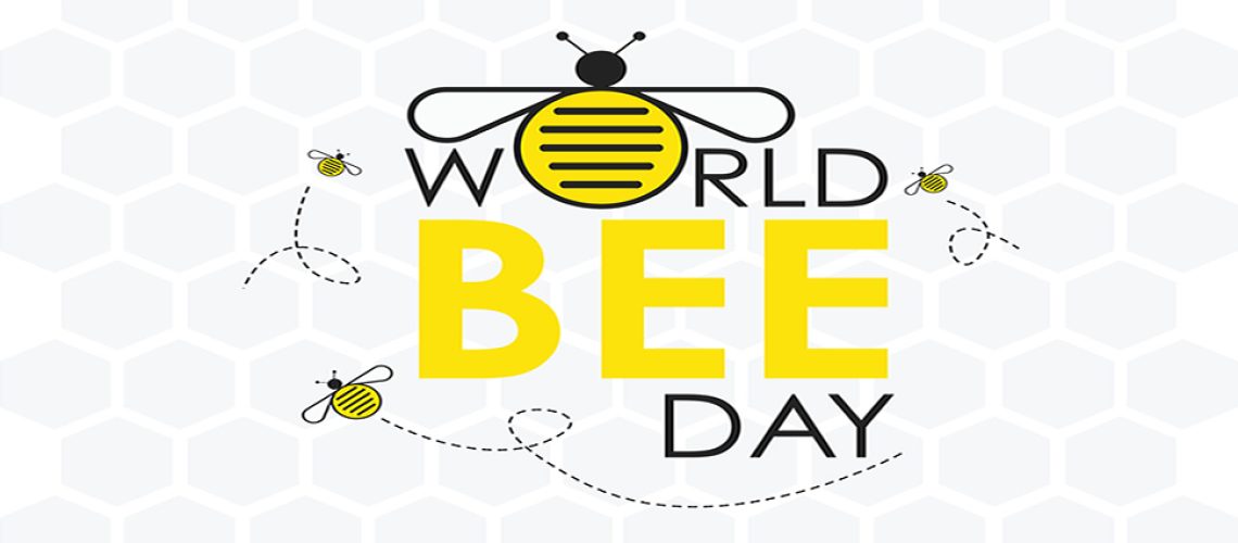 World Bee Day Article Banner
